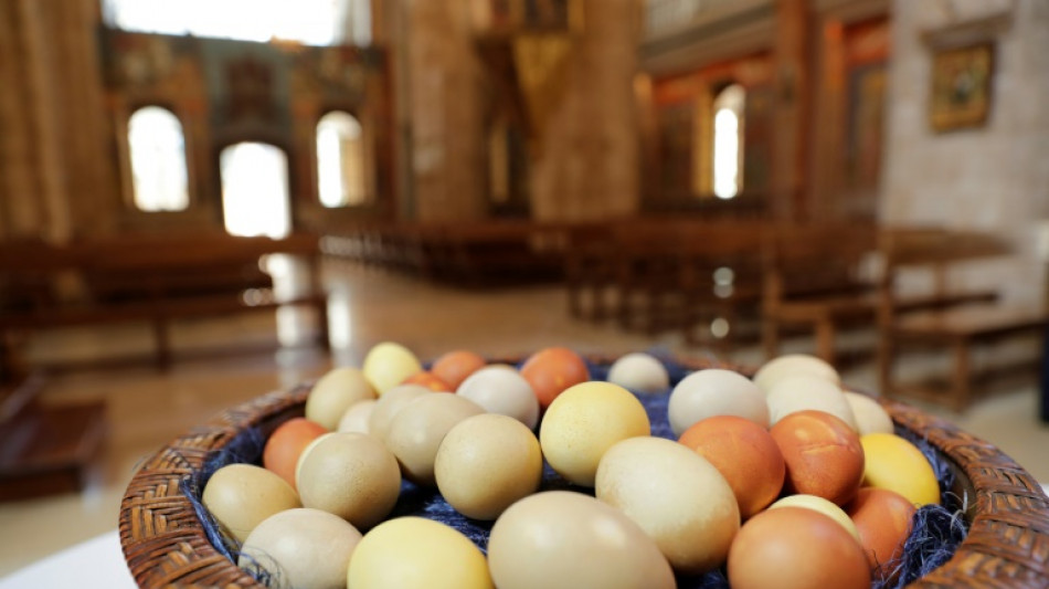 Bericht: Eier vor Ostern wie &uuml;blich erneut "knappes Gut"