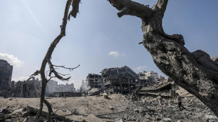 Onu, Gaza &egrave; diventata una zona di morte post-apocalittica