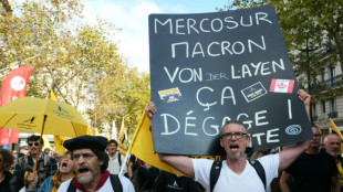 "Mercosur, mort à coup sûr": la Confédération paysanne marche contre le libre-échange