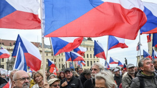 Czechs head to polls with billionaire ex-premier tipped to come first