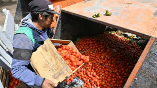 Cochabamba, "le grenier de la Bolivie" ass&eacute;ch&eacute; par les blocages