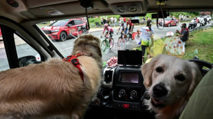 Tour de France: Les sprinteurs &agrave; l'aff&ucirc;t de la 11e &eacute;tape