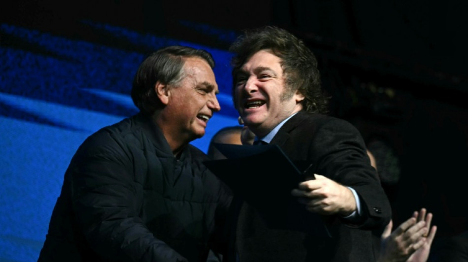 Polizei: Bolsonaro wollte "politisches Asyl" in Argentinien 