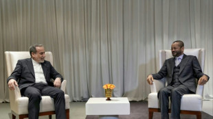 Ir&atilde; afirma que h&aacute; acordo com EUA sobre 'linhas gerais' para um pacto