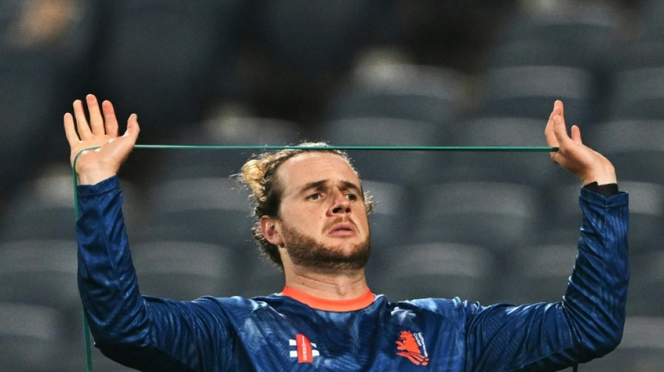 'Never underestimate a wounded buffalo': Dutch coach on England clash