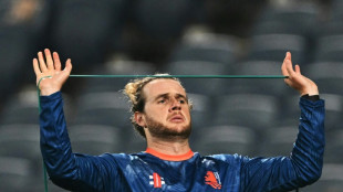 'Never underestimate a wounded buffalo': Dutch coach on England clash
