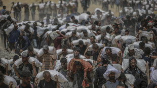 Israele, 'camion con gli aiuti stanno entrando a Gaza'