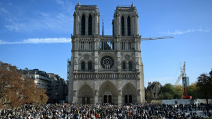 11 million flock to Notre-Dame in year since rising from devastating fire
