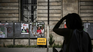 L&eacute;gislatives: la campagne s'ach&egrave;ve, le second tour d&eacute;j&agrave; dans les esprits