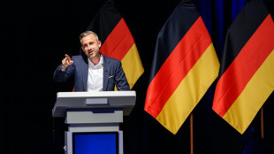 R&uuml;stungsg&uuml;ter f&uuml;r "Remigrations- und Abschiebeoffensiven": Siegmund l&ouml;st Emp&ouml;rung aus