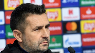 Union Berlin name Bjelica as coach