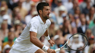 Wimbledon: Djokovic en habitu&eacute;, Alcaraz haut la main