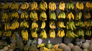 La inflaci&oacute;n de EEUU se enlentece al 5% interanual en marzo 
