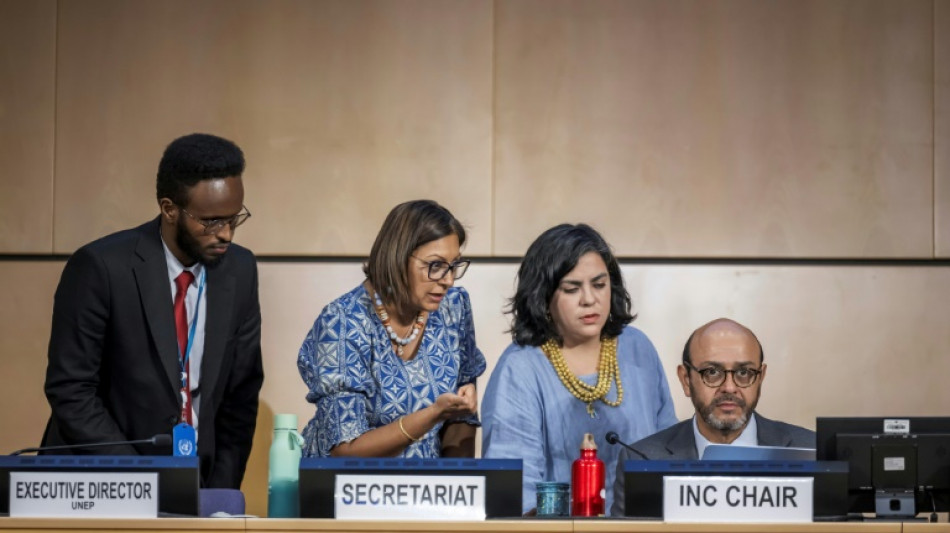 Nuit blanche à Genève, pas de traité plastique et maintenant ?