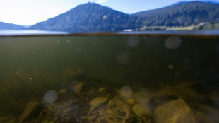 Infest&eacute; de munitions, un lac des Vosges attend sa lib&eacute;ration