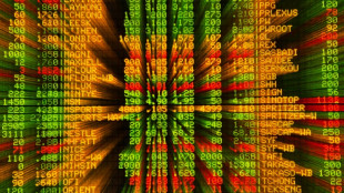 Stock rally loses steam as economic concerns return