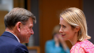 Europ&auml;ische Unterst&uuml;tzer Kiews erh&ouml;hen nach Trump-Telefonat Druck auf Putin