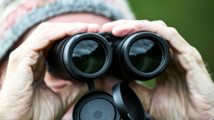 Urteil zu Observation durch Detektiv: Versicherungen m&uuml;ssen Daten mitunter teilen