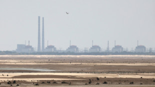Incendie dans le syst&egrave;me de refroidissement de la centrale nucl&eacute;aire de Zaporijjia