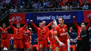 DHB-Bezwinger Portugal chancenlos: D&auml;nemark im WM-Finale
