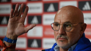 Scotland game important but not 'revenge' says Spain coach