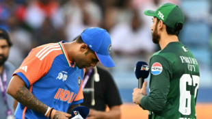 Just not cricket: how India-Pakistan tensions spill onto the pitch