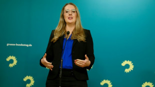 "Machen nichts auf Zuruf": Gr&uuml;ne wollen von Merz Zusagen beim Klimaschutz
