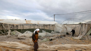 A Gaza, des terres fertiles ravag&eacute;es par la guerre