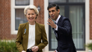 Reino Unido y UE abren "nuevo cap&iacute;tulo" tras acuerdo sobre Irlanda del Norte