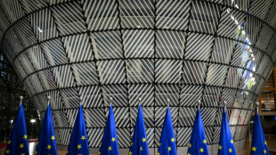 Lev&eacute;e des sanctions UE contre deux oligarques russes : les discussions continuent