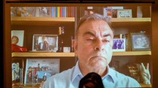 Ghosn reclama a Nissan 1.000 millones de d&oacute;lares por da&ntilde;os y perjuicios
