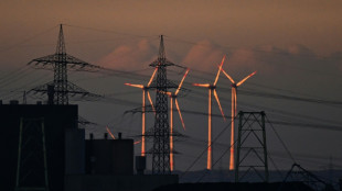 Stromsteuersenkung: Koalitionäre schieben sich Veranwortung zu