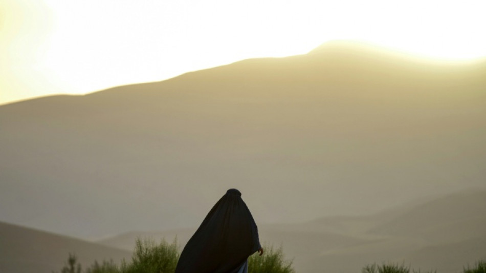 Un accidente de minib&uacute;s deja 15 muertos en Afganist&aacute;n