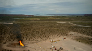 La petrolera argentina YPF solicita adhesi&oacute;n a un r&eacute;gimen especial para invertir 25.000 millones de d&oacute;lares