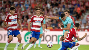 El Granada, eliminado de la Copa del Rey por alineaci&oacute;n indebida