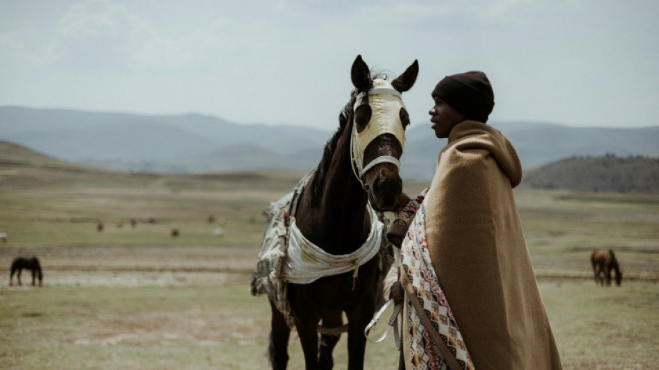Carreras a caballo en la monta&ntilde;a, una tradici&oacute;n centenaria en el peque&ntilde;o reino de Lesoto