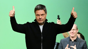 Habeck kritisiert Offenheit von Merz f&uuml;r AfD-Stimmen: "Nichts daran ist harmlos"