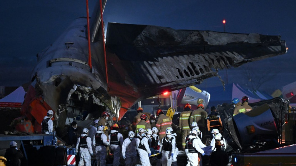 Cor&eacute;e du Sud: 179 morts et deux survivants dans le crash d'un avion de ligne