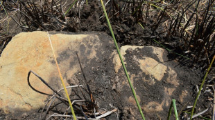 Ile de P&acirc;ques: une nouvelle statue d&eacute;couverte dans une lagune ass&eacute;ch&eacute;e