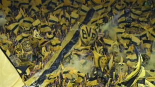 UEFA: BVB ist europ&auml;ischer Zuschauerkr&ouml;sus