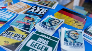 Vor Wahl in Sachsen-Anhalt: CDU-Kommunalpolitiker spendet und wirbt f&uuml;r AfD