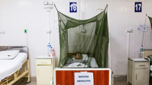 Per&uacute; registra 67 muertos por dengue en lo que va de a&ntilde;o
