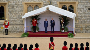 Biden takes tea and talks climate with King Charles III