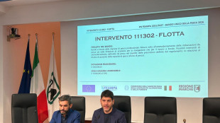 Caro carburante per i pescatori nelle Marche, sei milioni dalla Regione