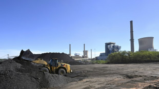 Centrale &agrave; charbon de Saint-Avold: l'inqui&eacute;tude monte encore pour les salari&eacute;s