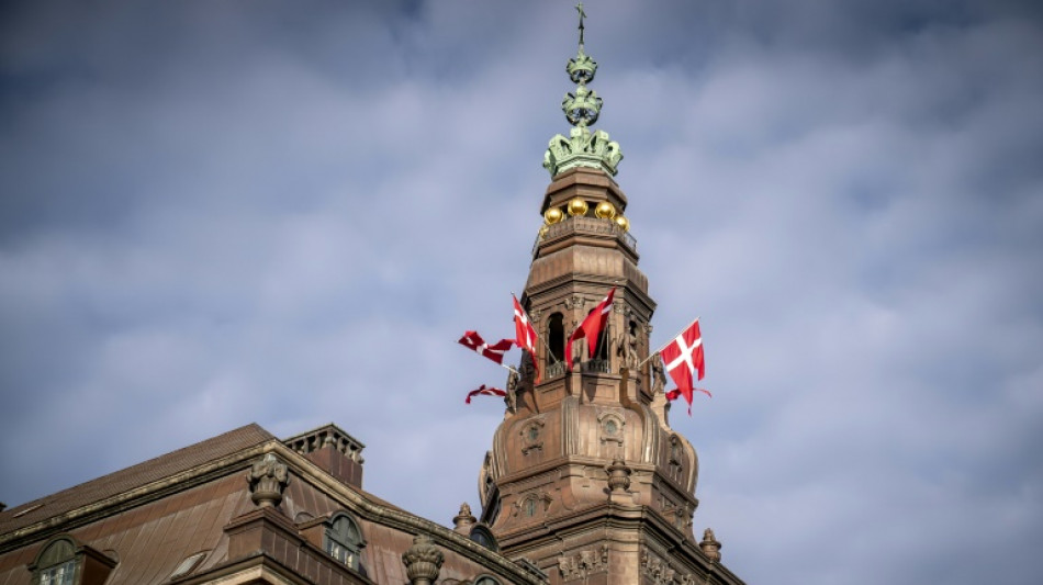 Le Danemark veut restreindre l'usage des drapeaux &eacute;trangers