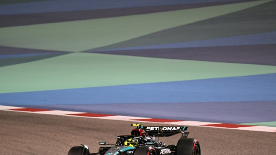 Hamilton y Mercedes dominan los ensayos libres del GP de Bar&eacute;in