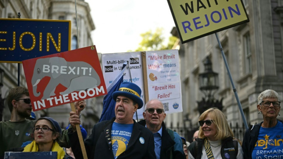 Des centaines de Britanniques d&eacute;filent pour r&eacute;clamer le retour du Royaume-Uni dans l'UE