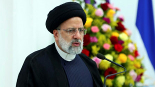 Presidente de Ir&aacute;n dice que quiere compartir "capacidades" con Nicaragua
