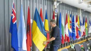 En Suisse, deux jours de sommet pour la paix en Ukraine avec des ambitions mesur&eacute;es